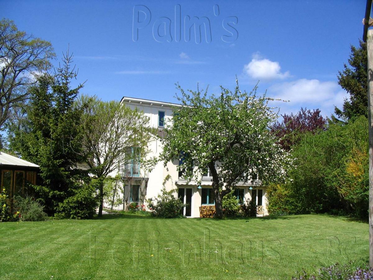 Palms Ferienhaus Klutz Exterior photo